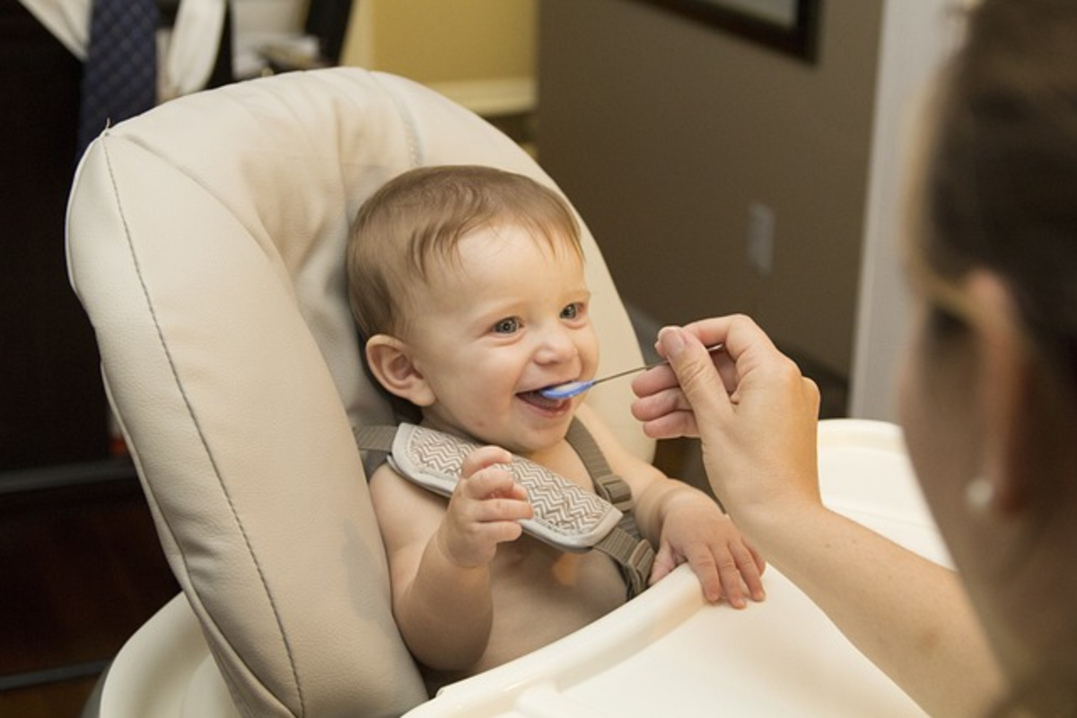 Recetas para bebés de 8 meses, paso a paso